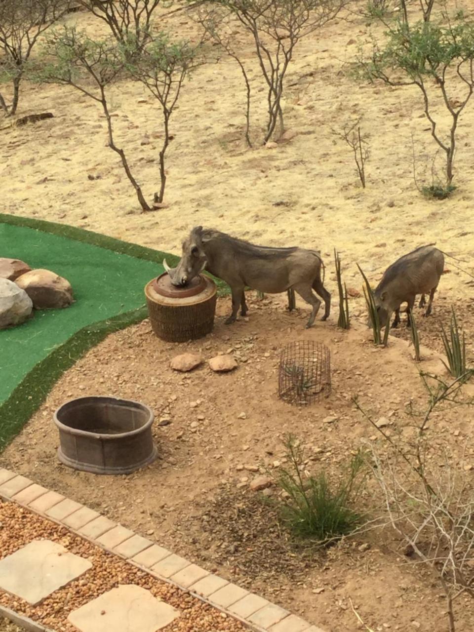 Windhoek Rural Self Catering Voigtland 외부 사진